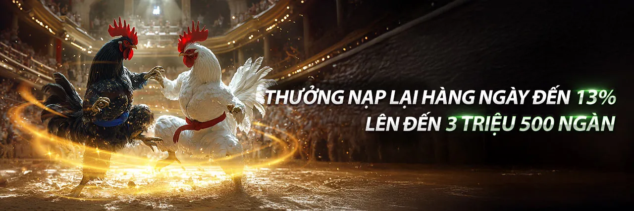 Đá Gà Thomo 6/5/2024 - Sân vận động gà chọi Thomo